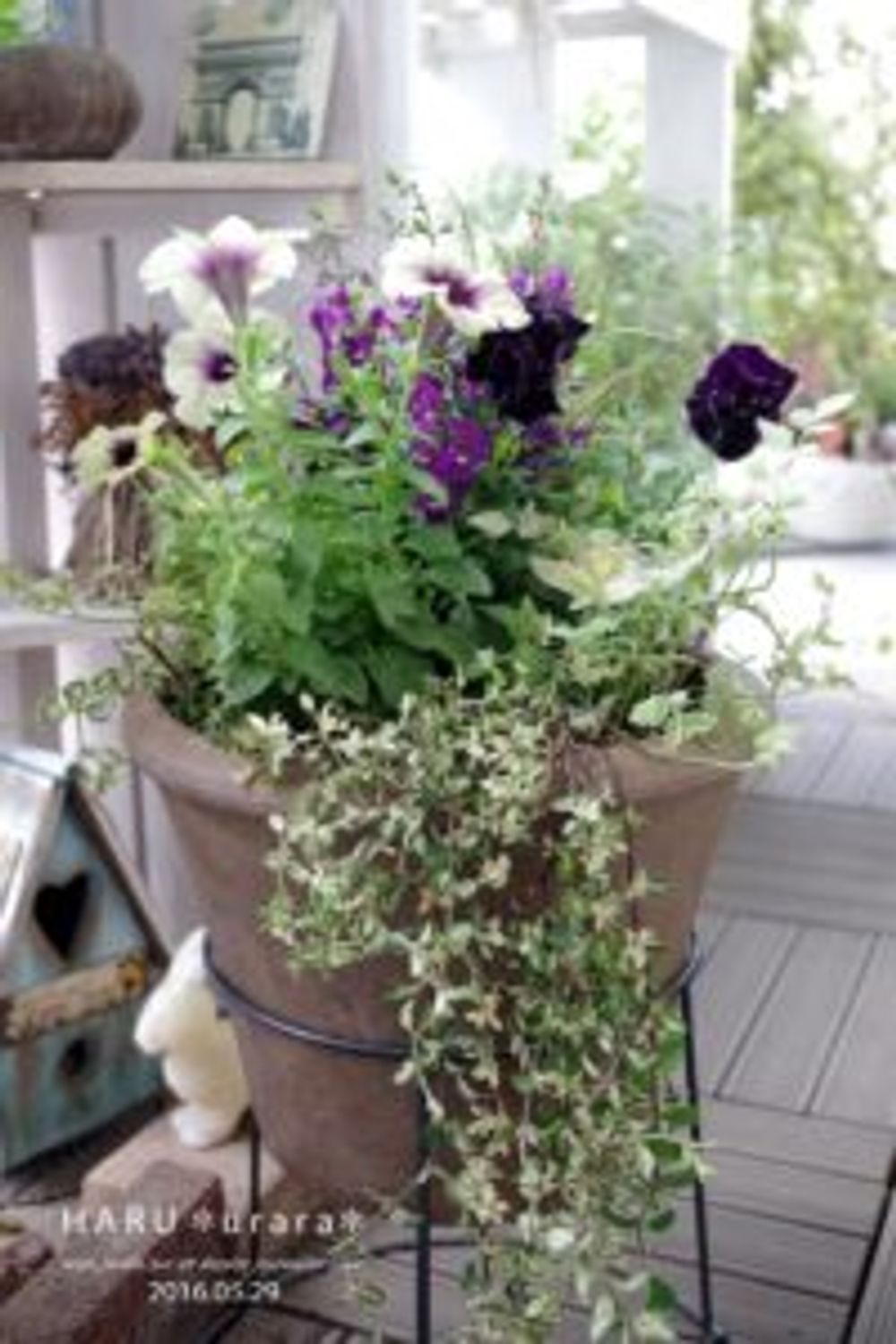 Photo by H・A・R・Uさん