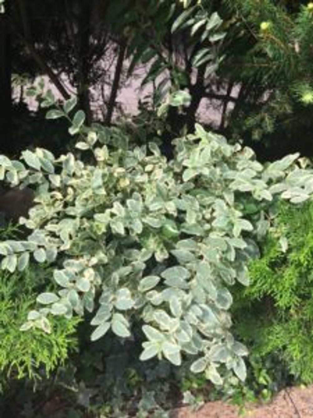 Photo by nananamiさん