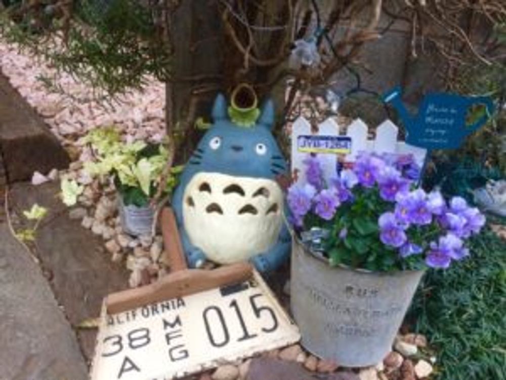 Photo by nokkototoroさん