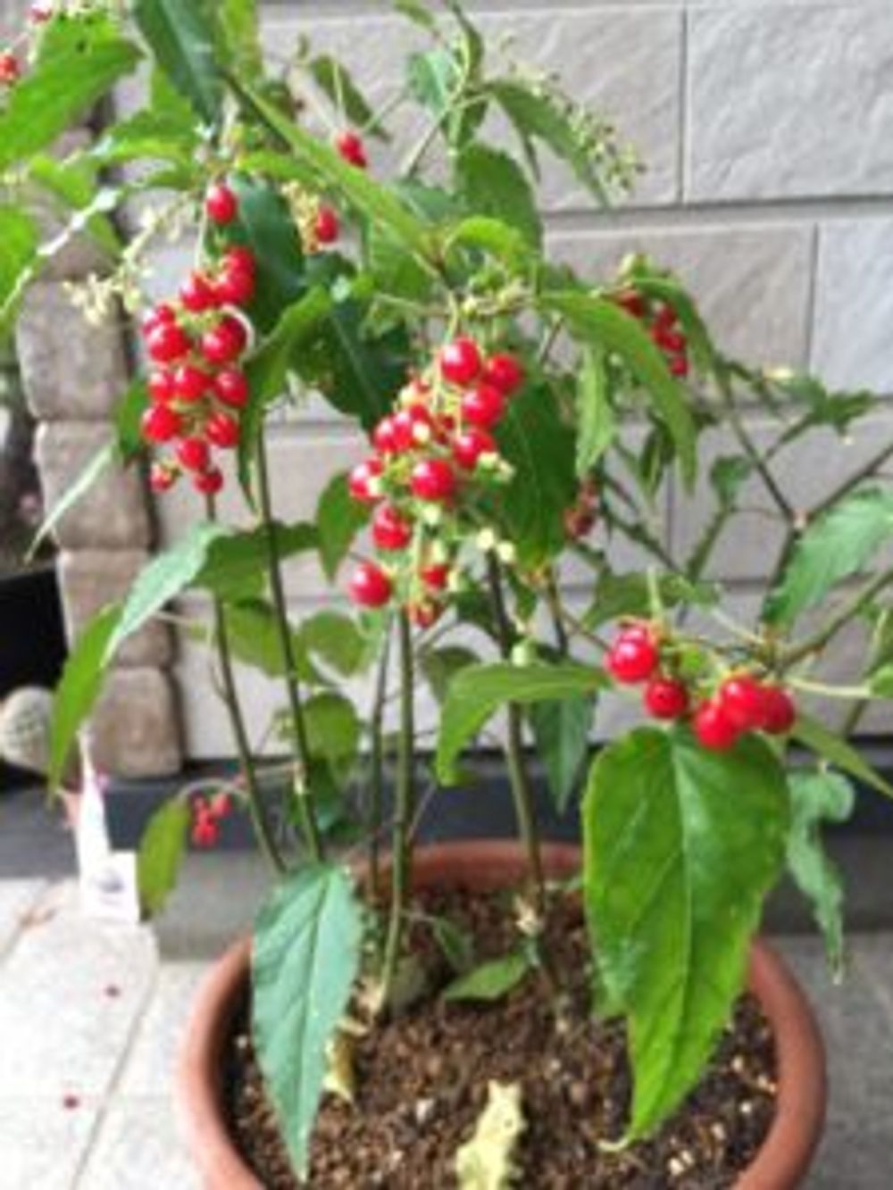 Photo by kmplaceさん