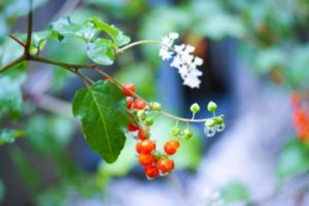 Photo by ぽかぽかなおさん