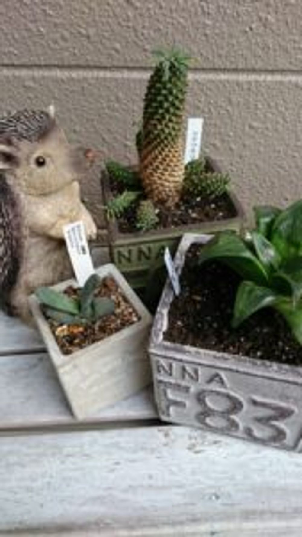 Photo by えりちゃんさん