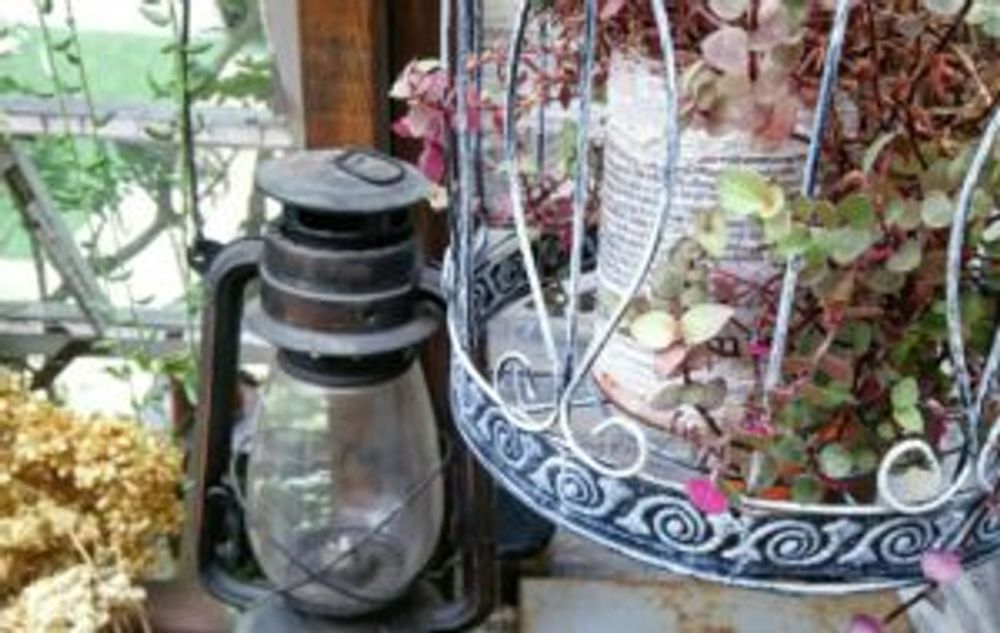 Photo by -mai-さん