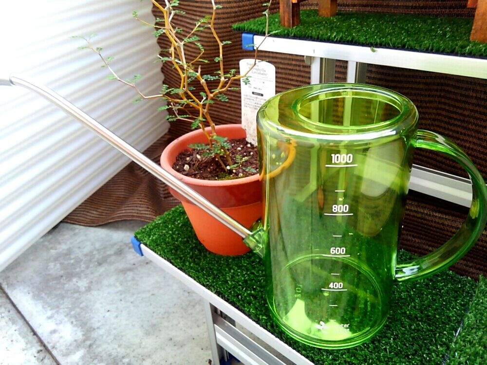 Photo by さりんさん