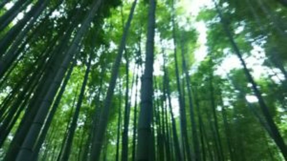 Photo by セザンヌさん