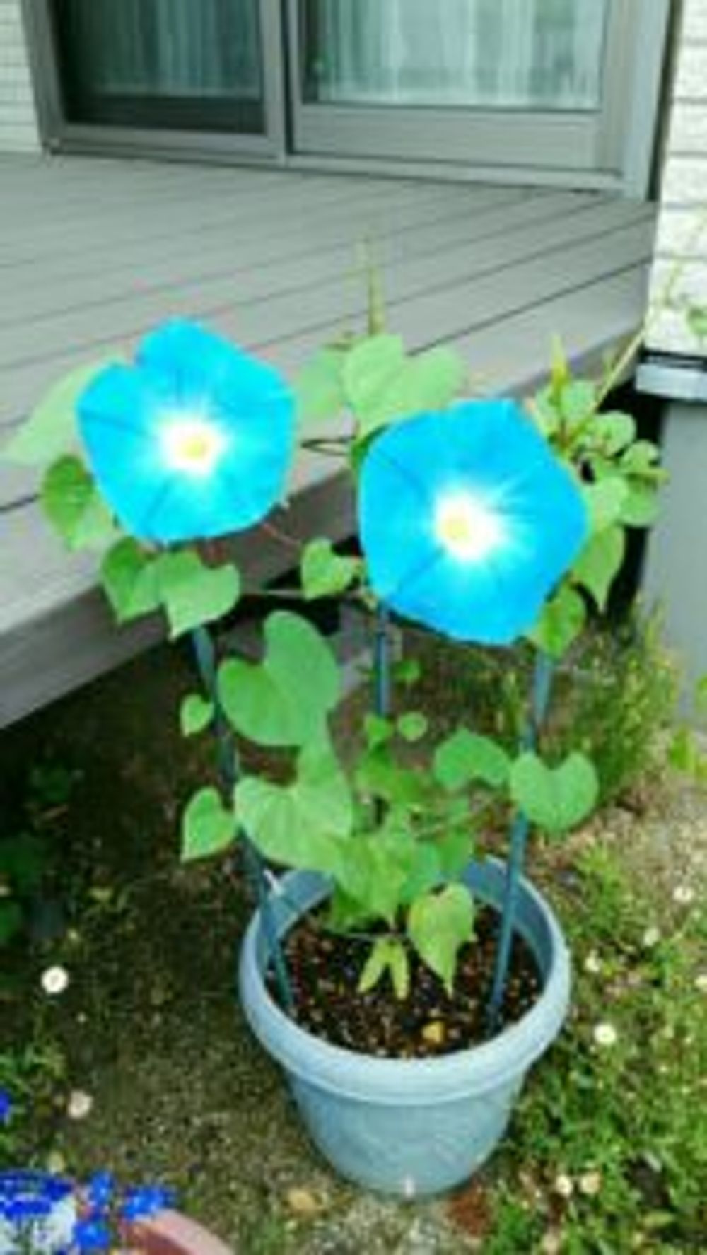 Photo by なっぴぃさん