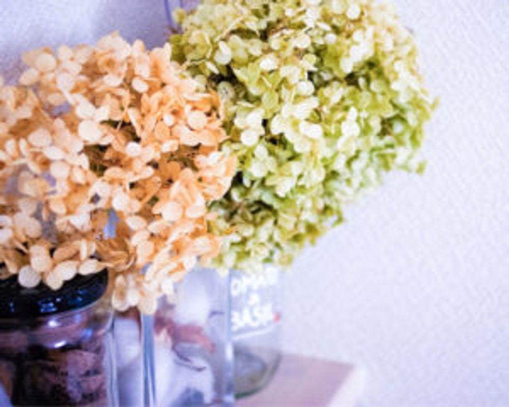 Photo by ぽかぽかなおさん