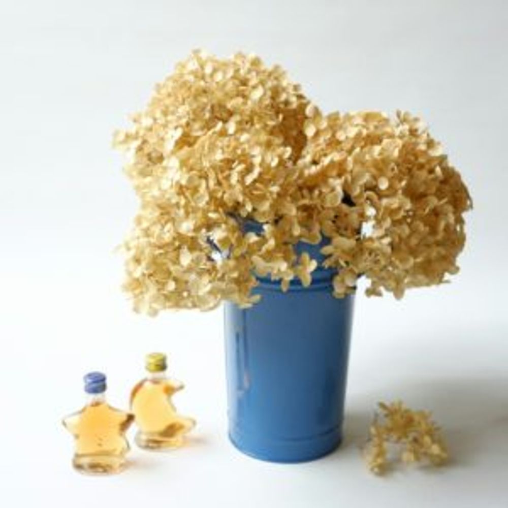 Photo by ハルヒツジさん