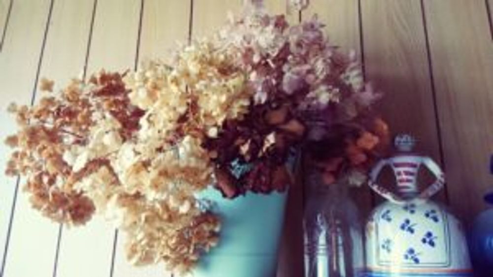 Photo by LADYBIRDさん