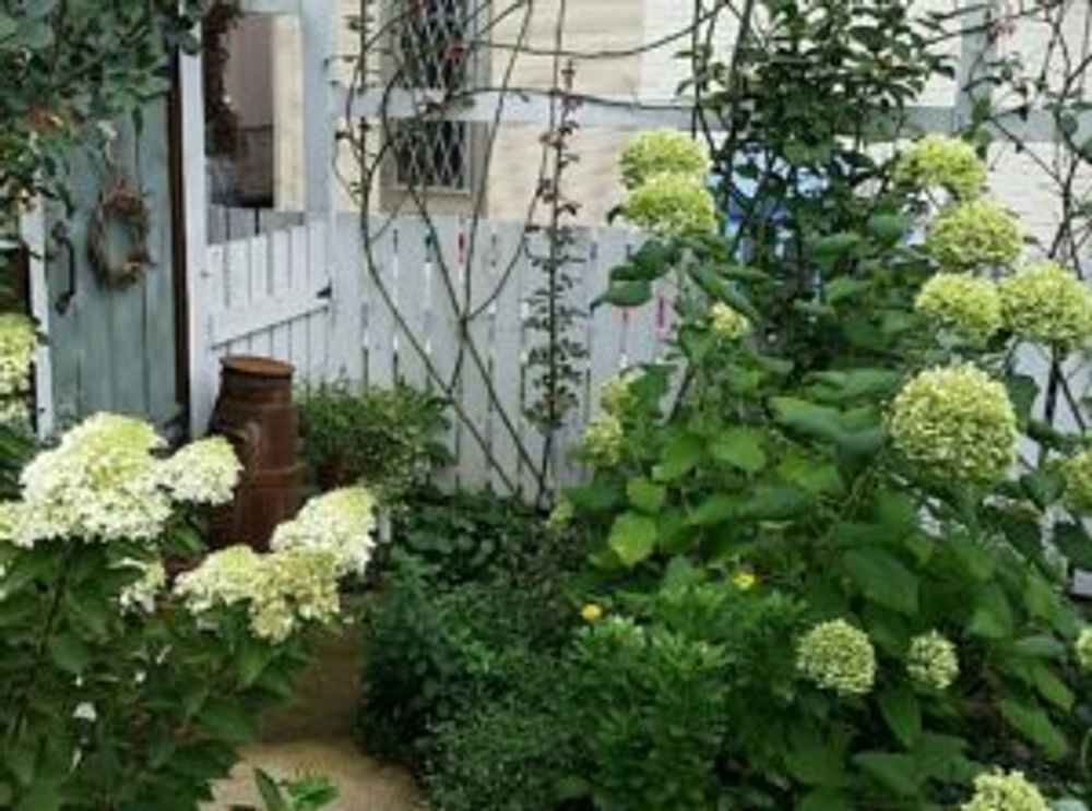 Photo by こつこつガーデナーさん