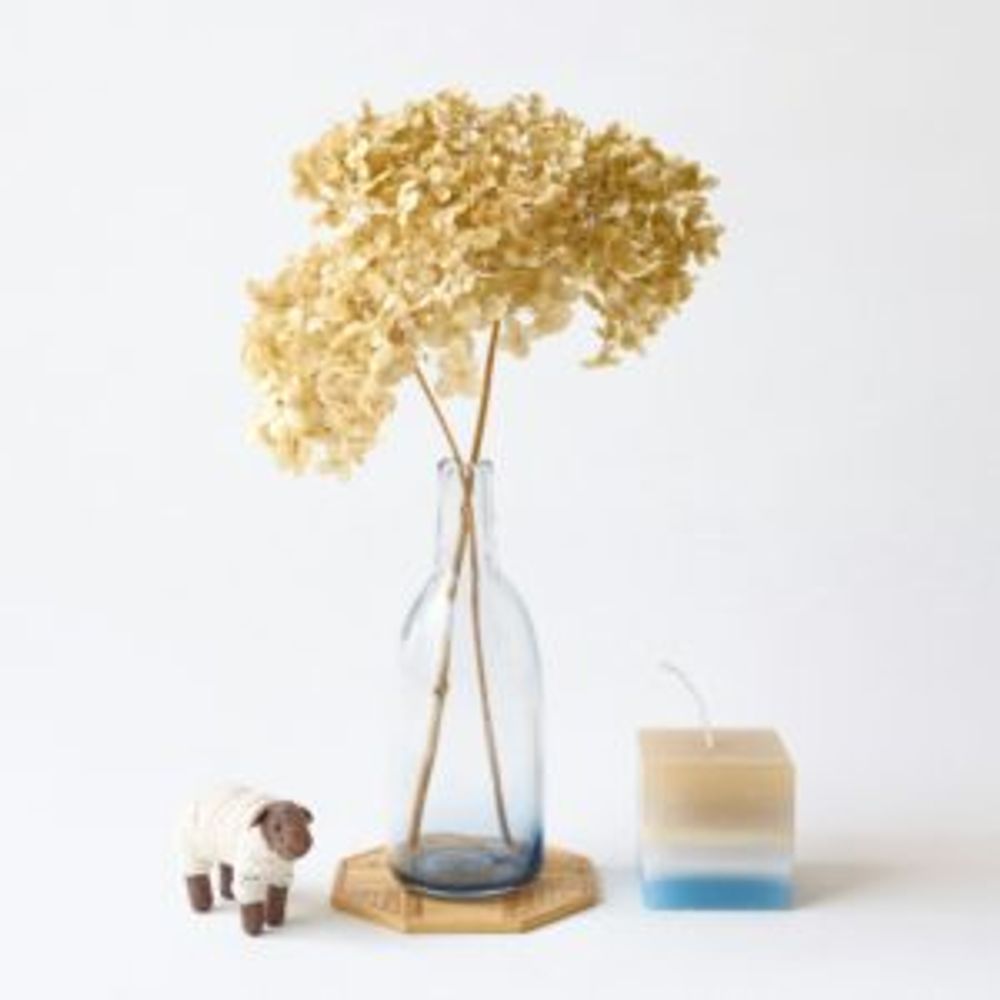 Photo by ハルヒツジさん