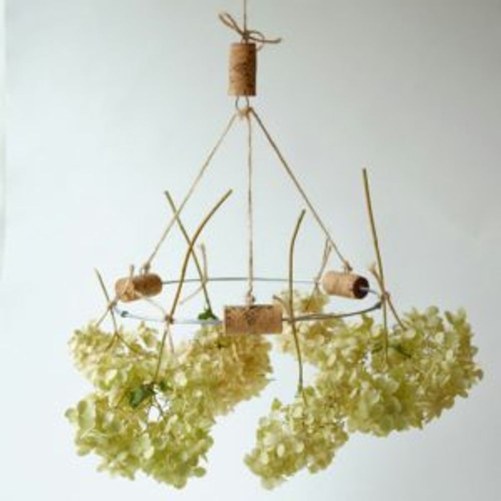 Photo by ハルヒツジさん