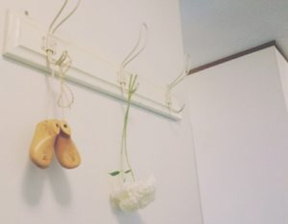 Photo by mokamokaさん