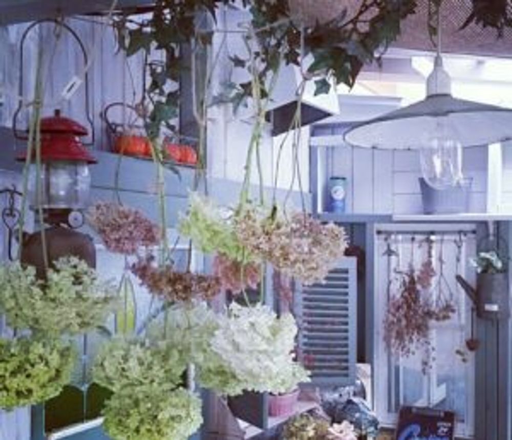 Photo by こつこつガーデナーさん