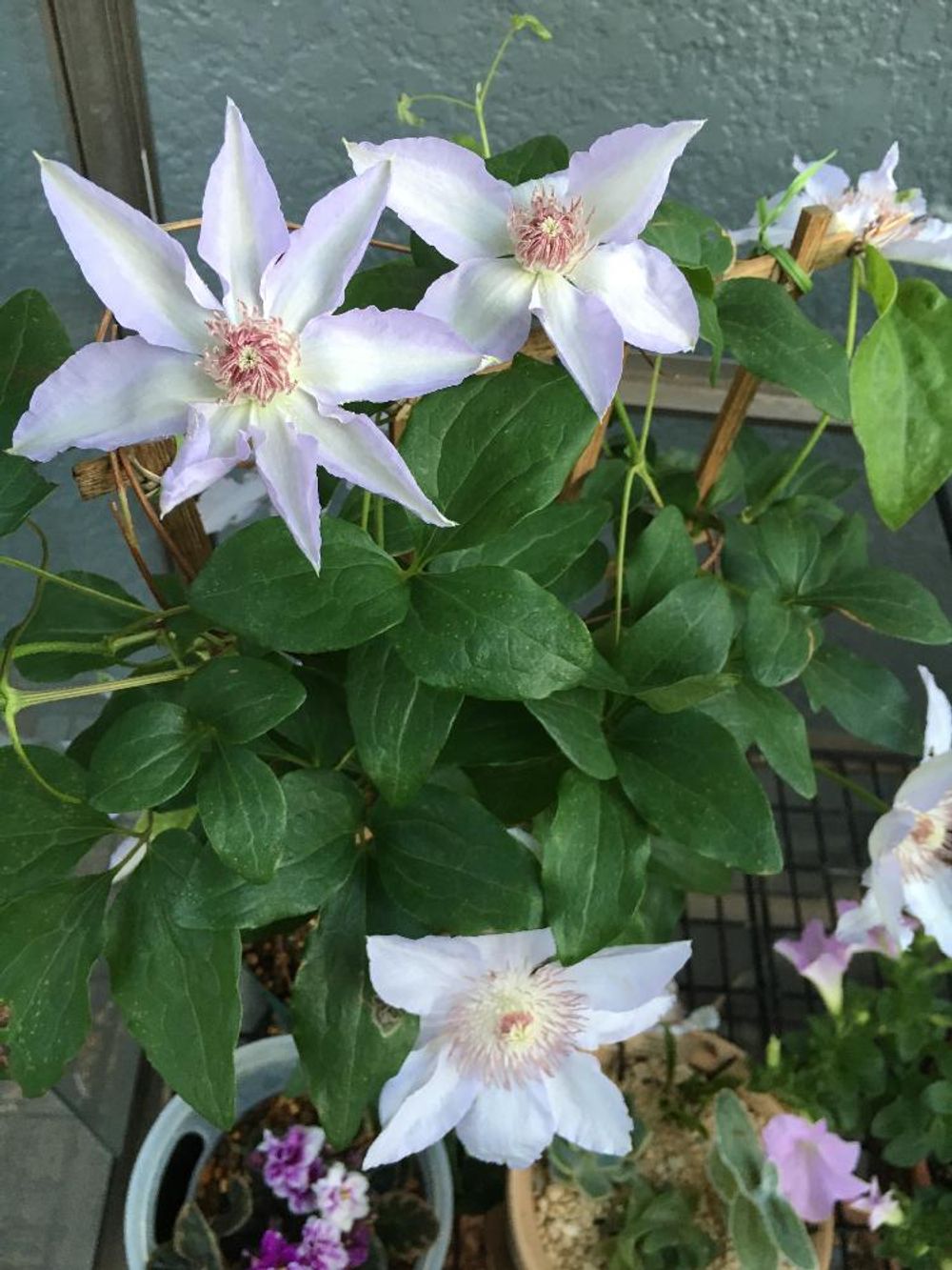 Photo by かんじ0317さん