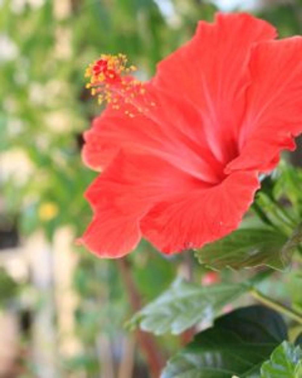 Photo by 沢辺生花店さん