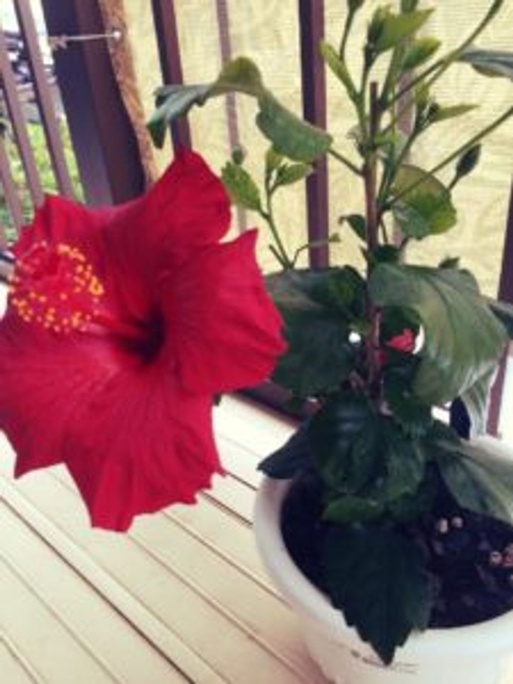 Photo by ケイちゃんさん