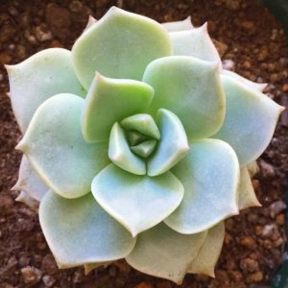 Photo by emptyさん@GreenSnap