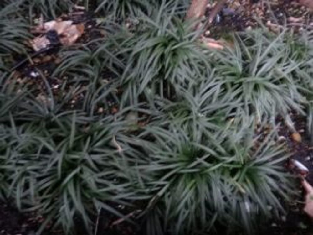 Photo by 野村 みのりさん