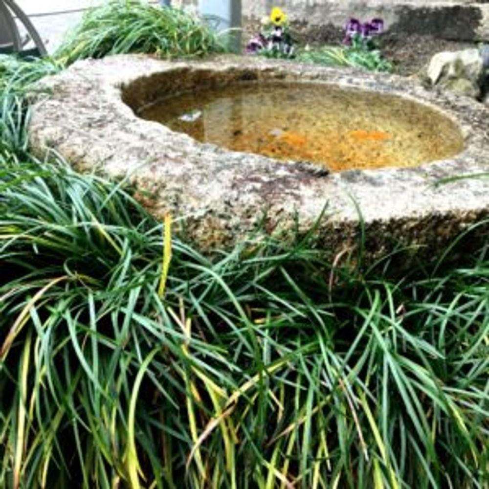 Photo by みにぃぃさん