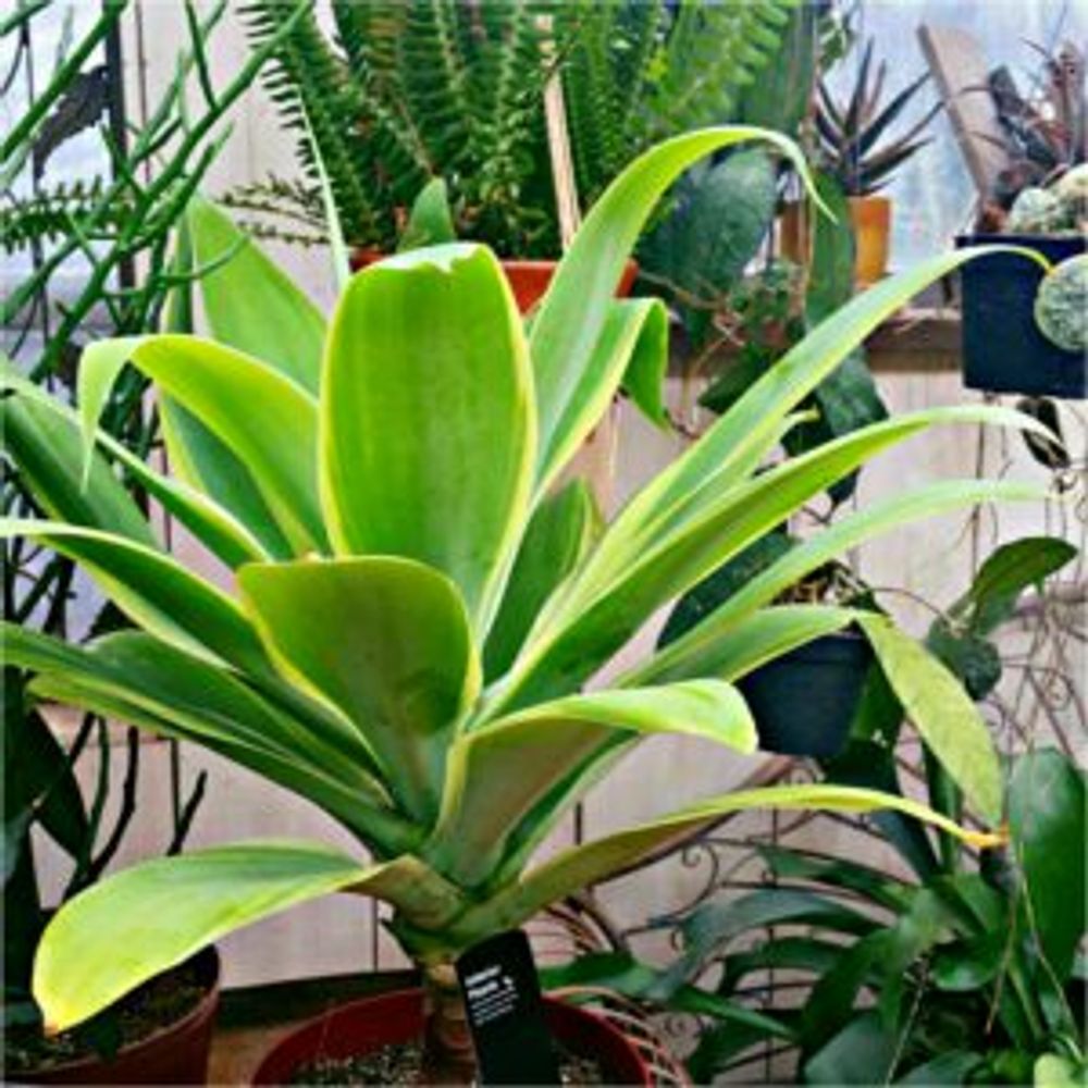 Photo by toshiさん@GreenSnap