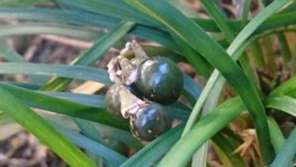 Photo by kawokawoさん