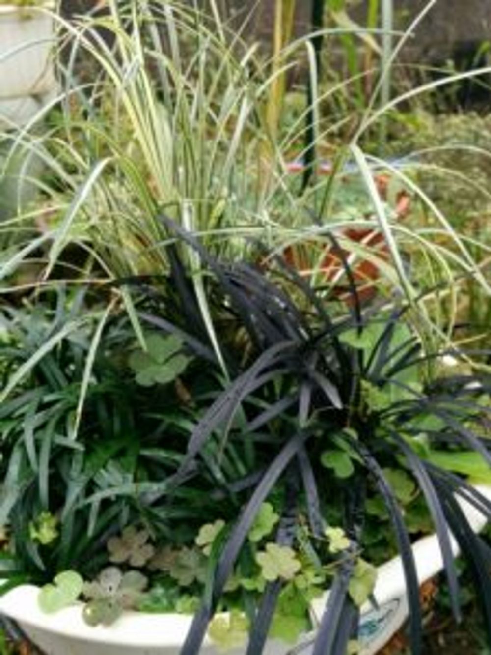 Photo by あおい32さん