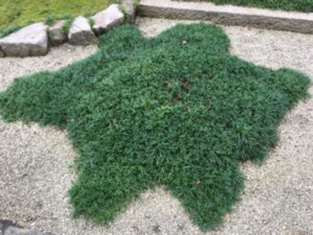 Photo by 13gennnacaさん