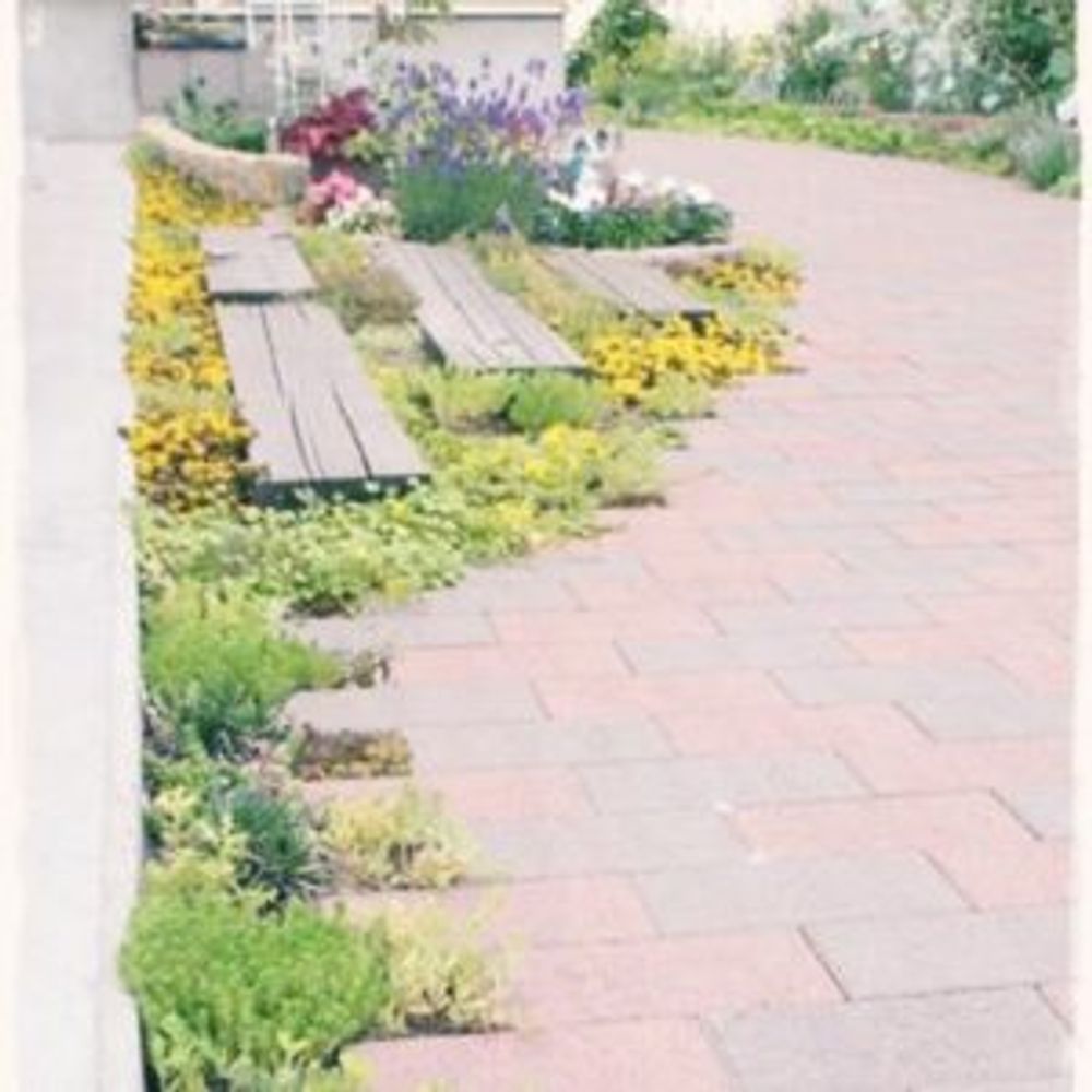 Photo by asamiさん