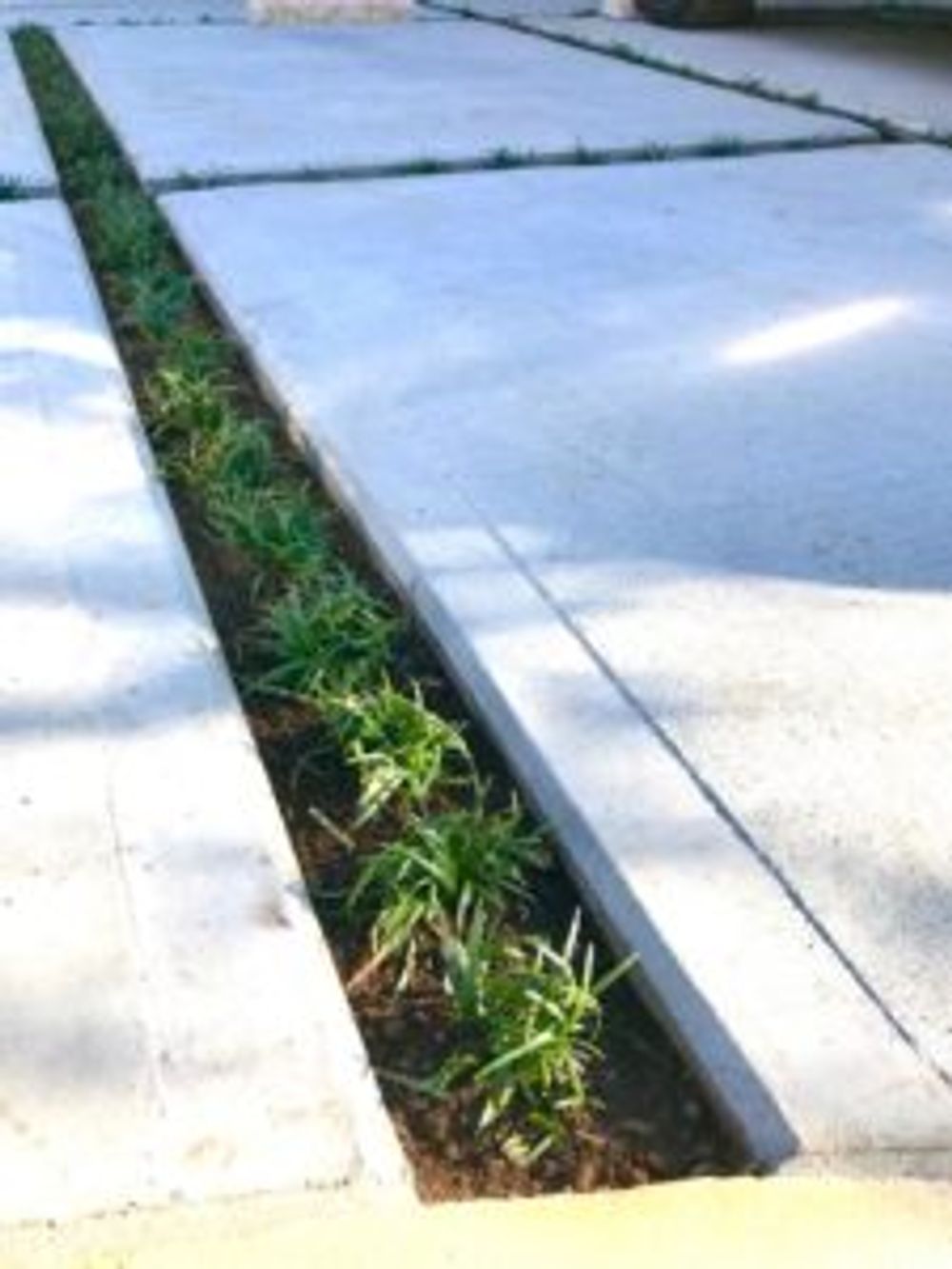 Photo by みみゆさん