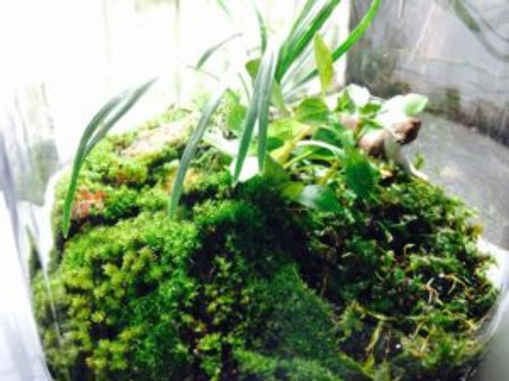 Photo by ハチクロさん