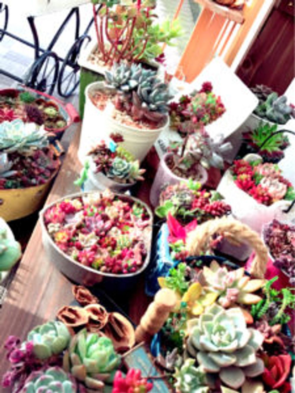 Photo by ショーンさん@GreenSnap