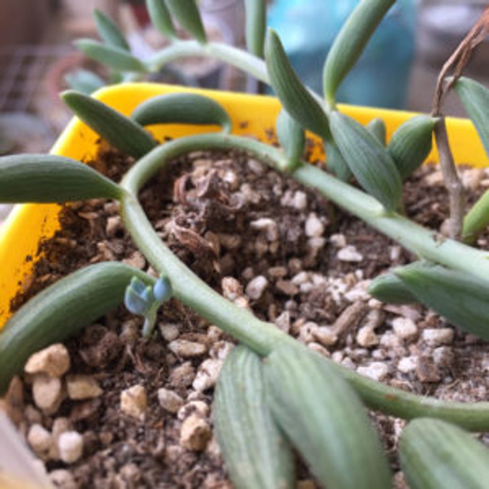 Photo by なおみさん@GreenSnap