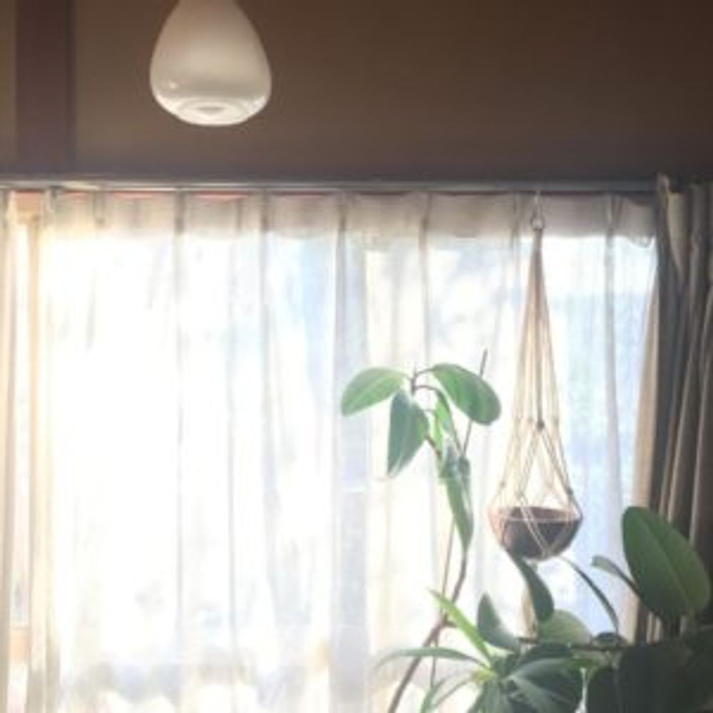 Photo by kotomouさん