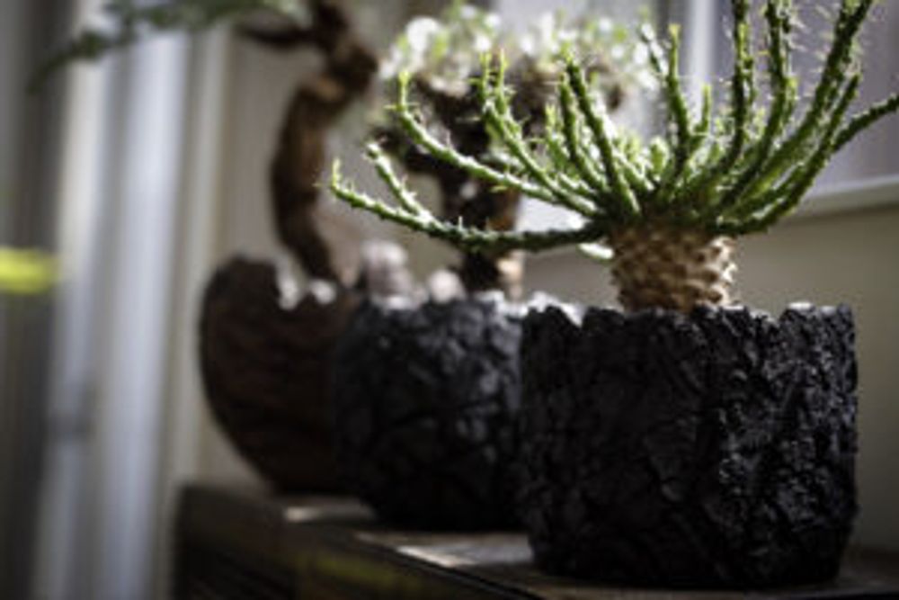 Photo by 山やんさん@GreenSnap