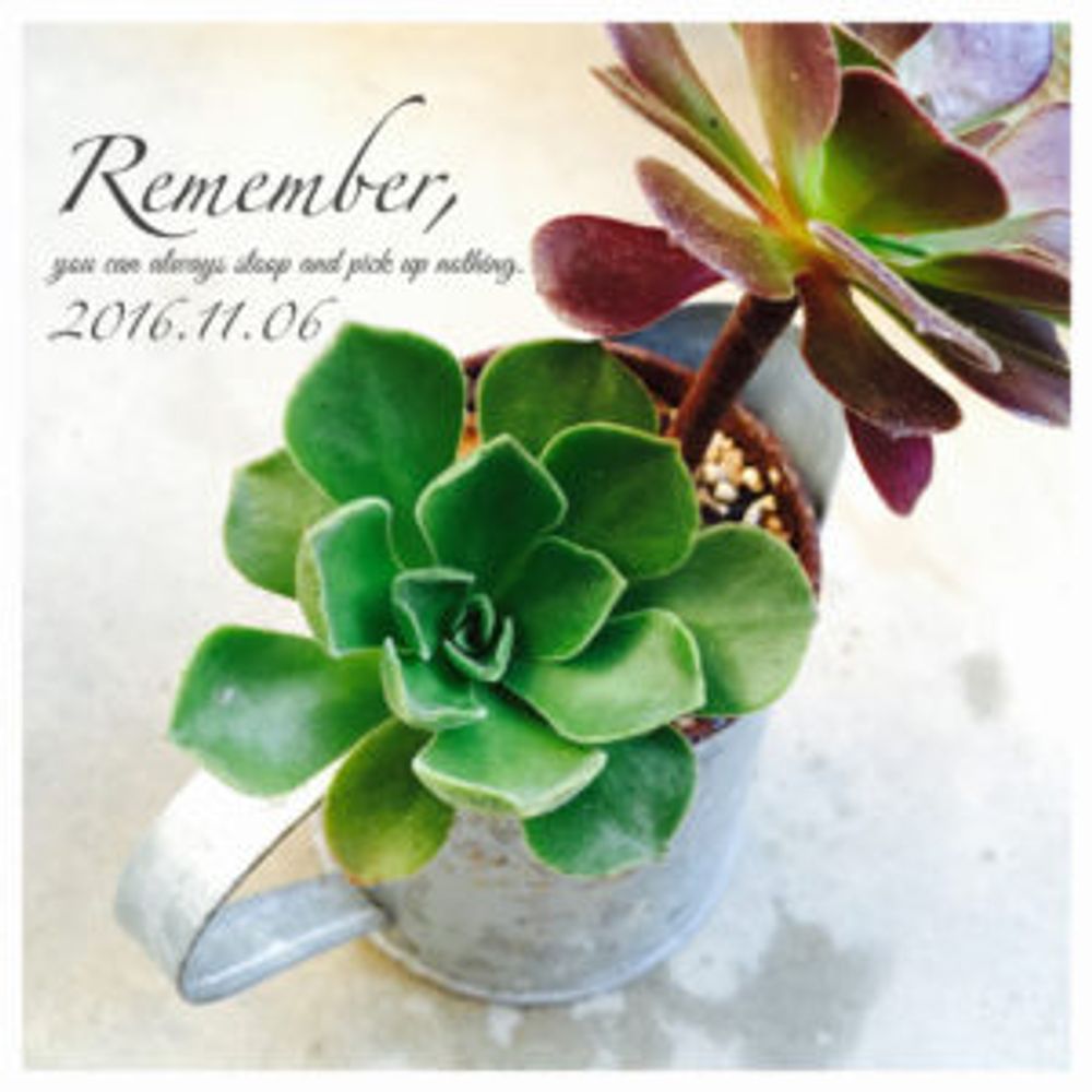 Photo by Ⓜ︎AYUⓂ︎I 〔まゆみ〕さん@GreenSnap