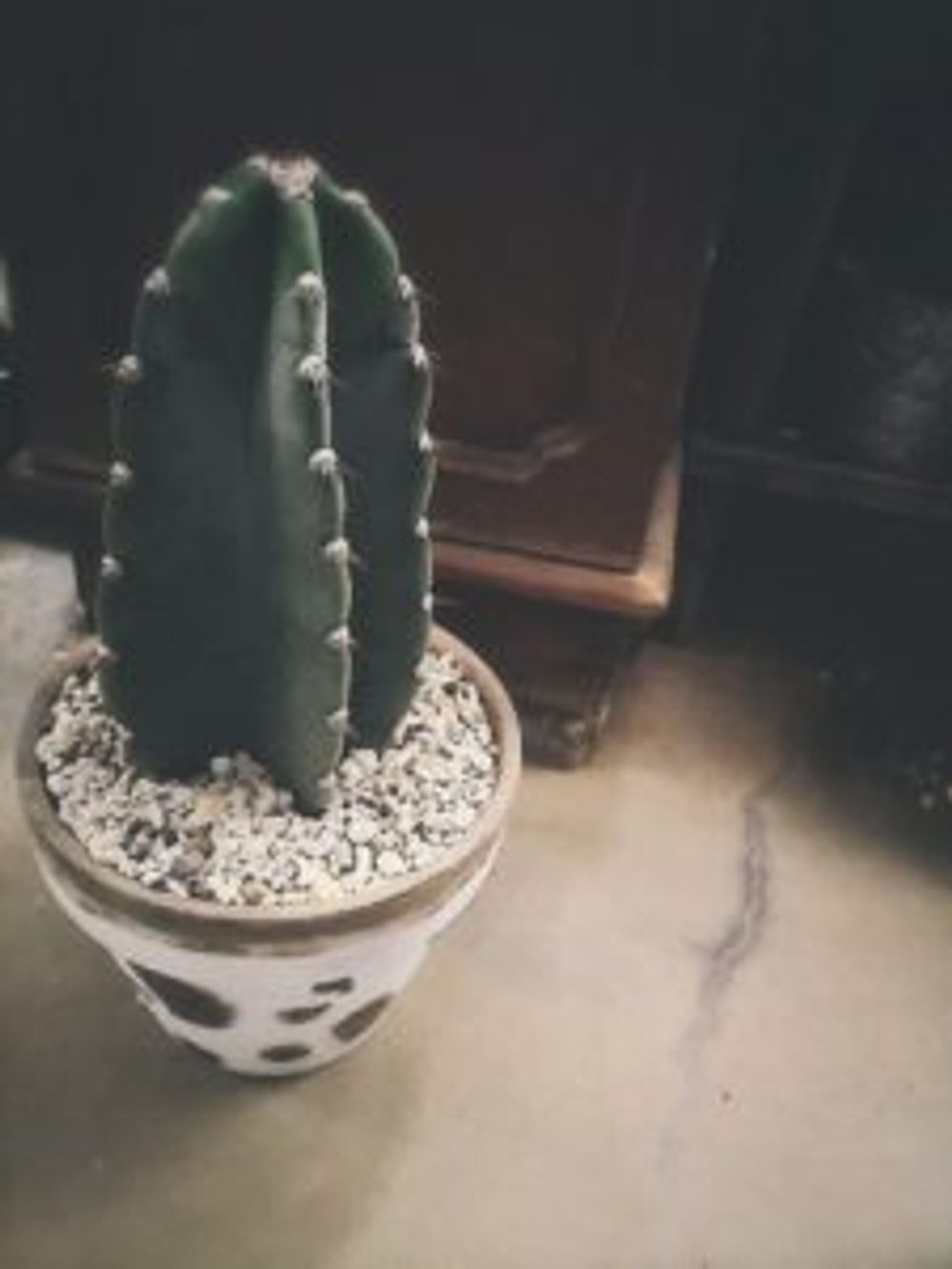 Photo by 海中散歩さん@GreenSnap