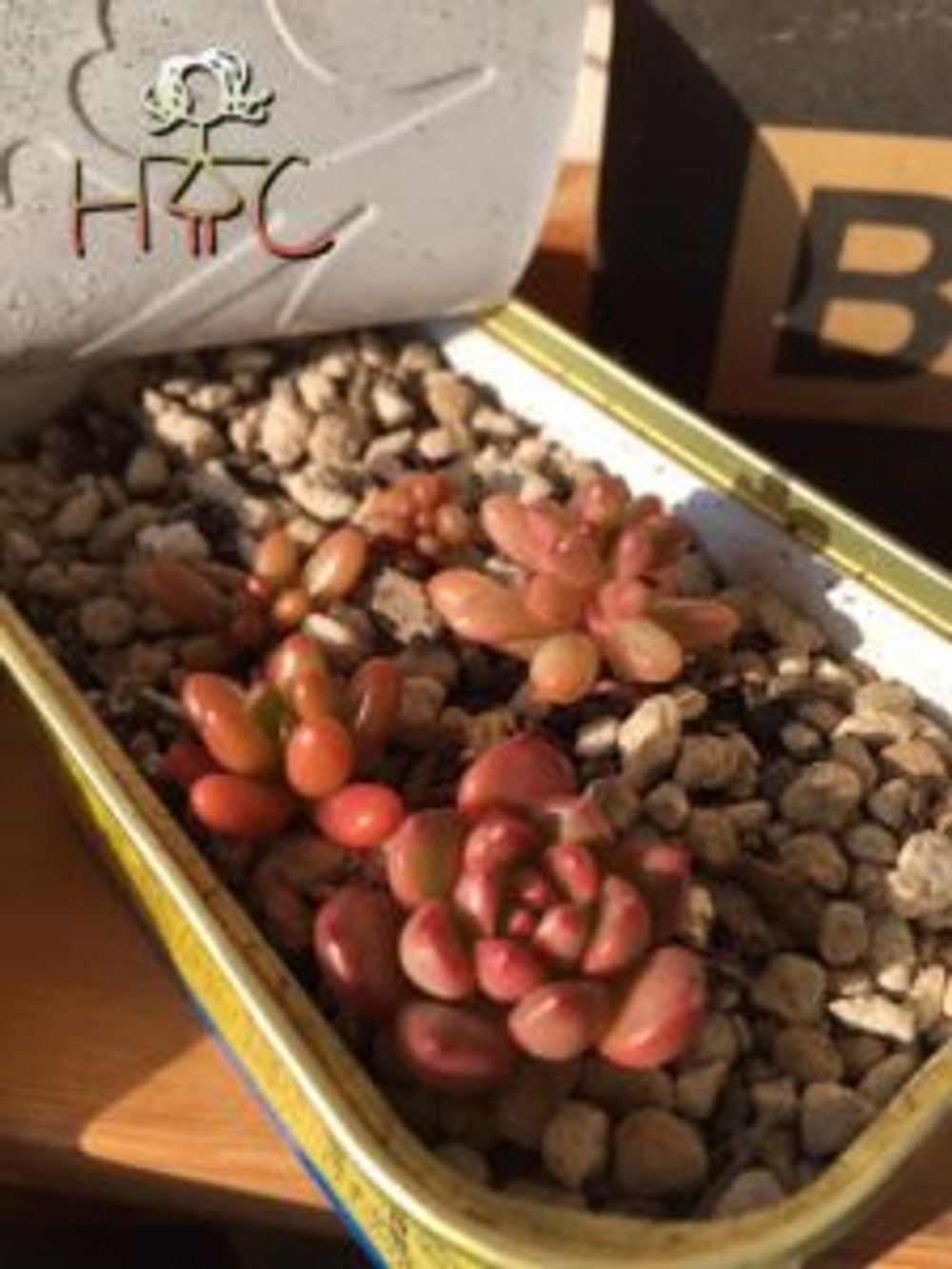 Photo by ＊nori＊さん@GreenSnap