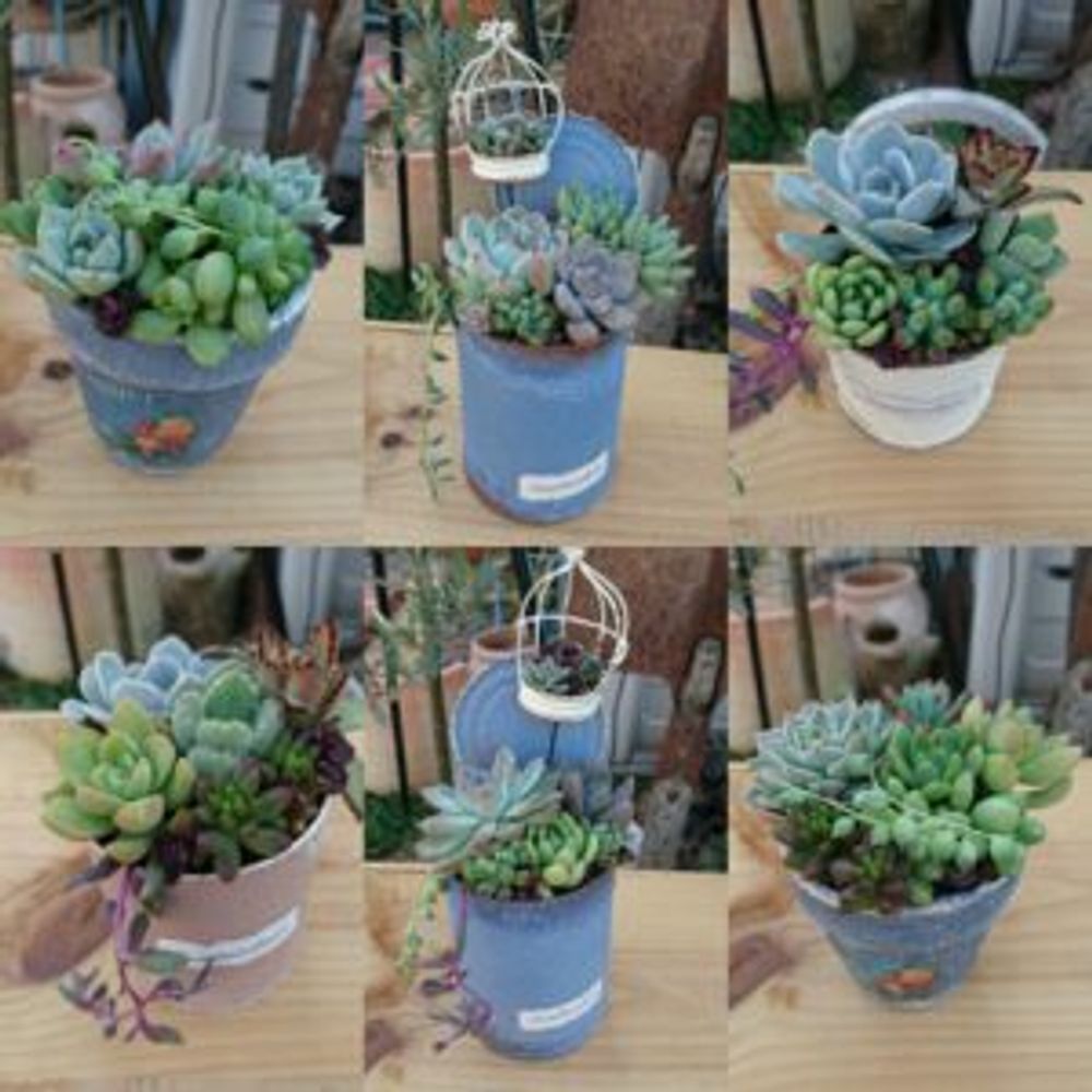 Photo by けいこさん@GreenSnap