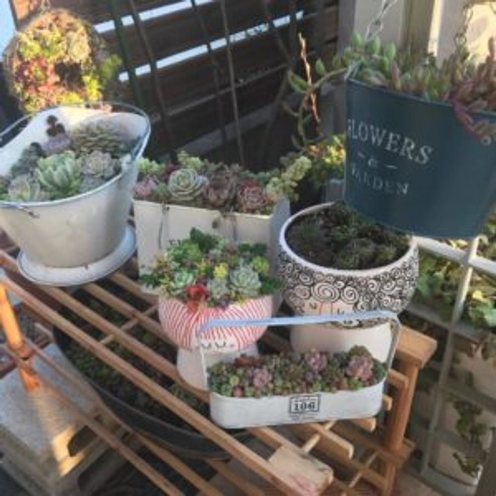 Photo by napoonさん@GreenSnap