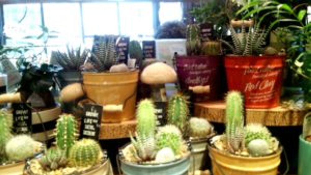 Photo by みりんさん@GreenSnap