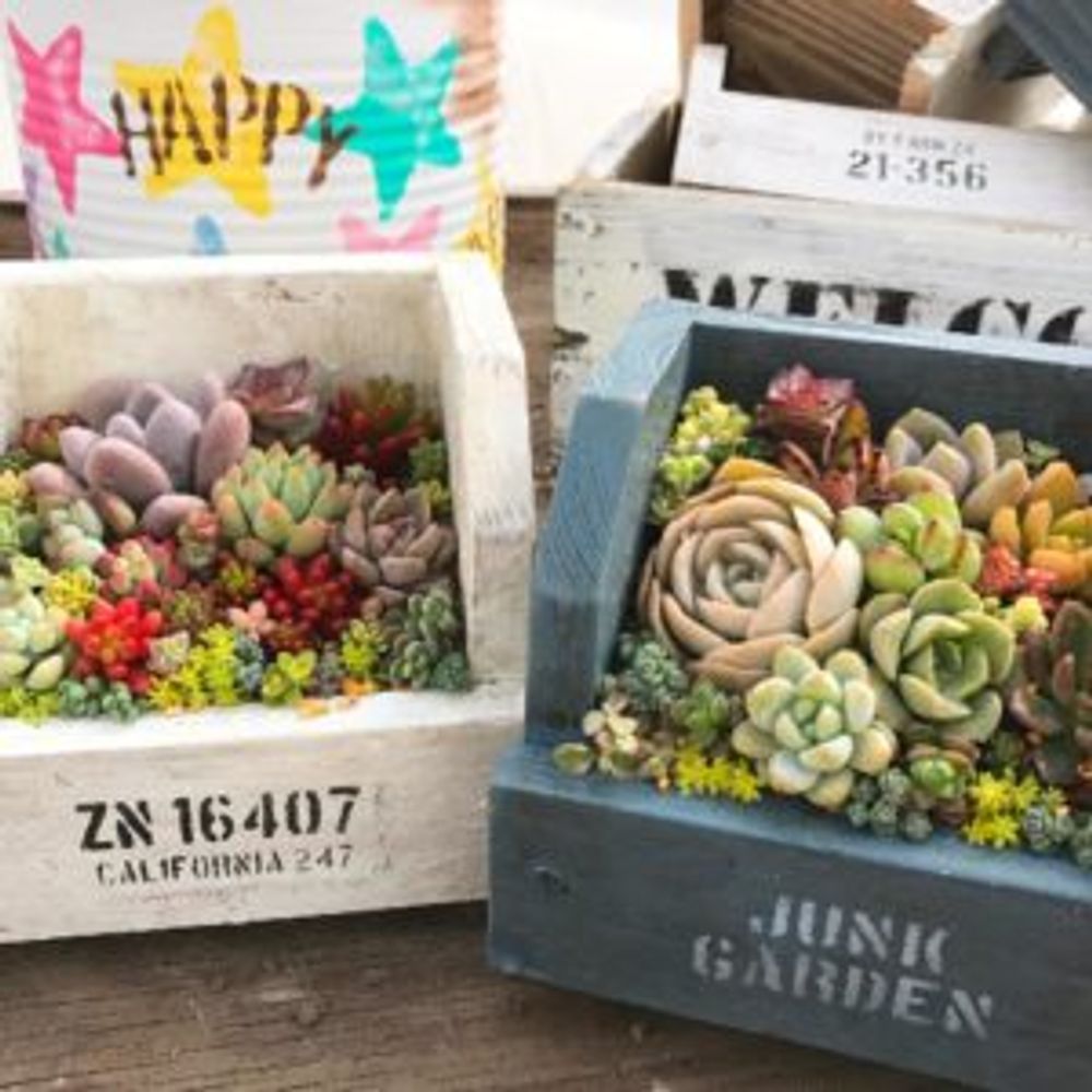 Photo by 39_mi_farmさん@GreenSnap