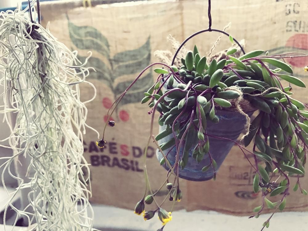 Photo by ヘイズさん