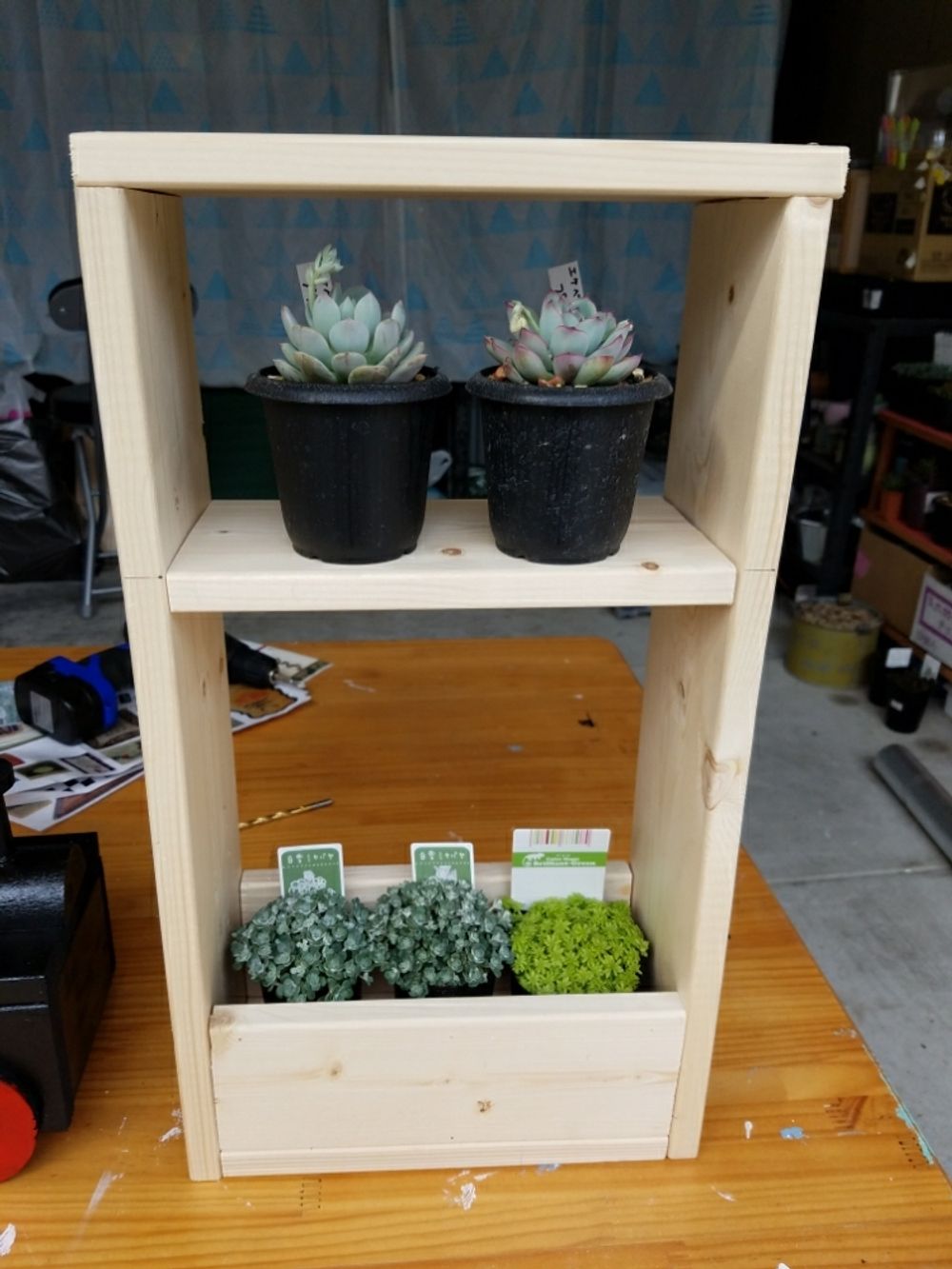 Photo by まるさん