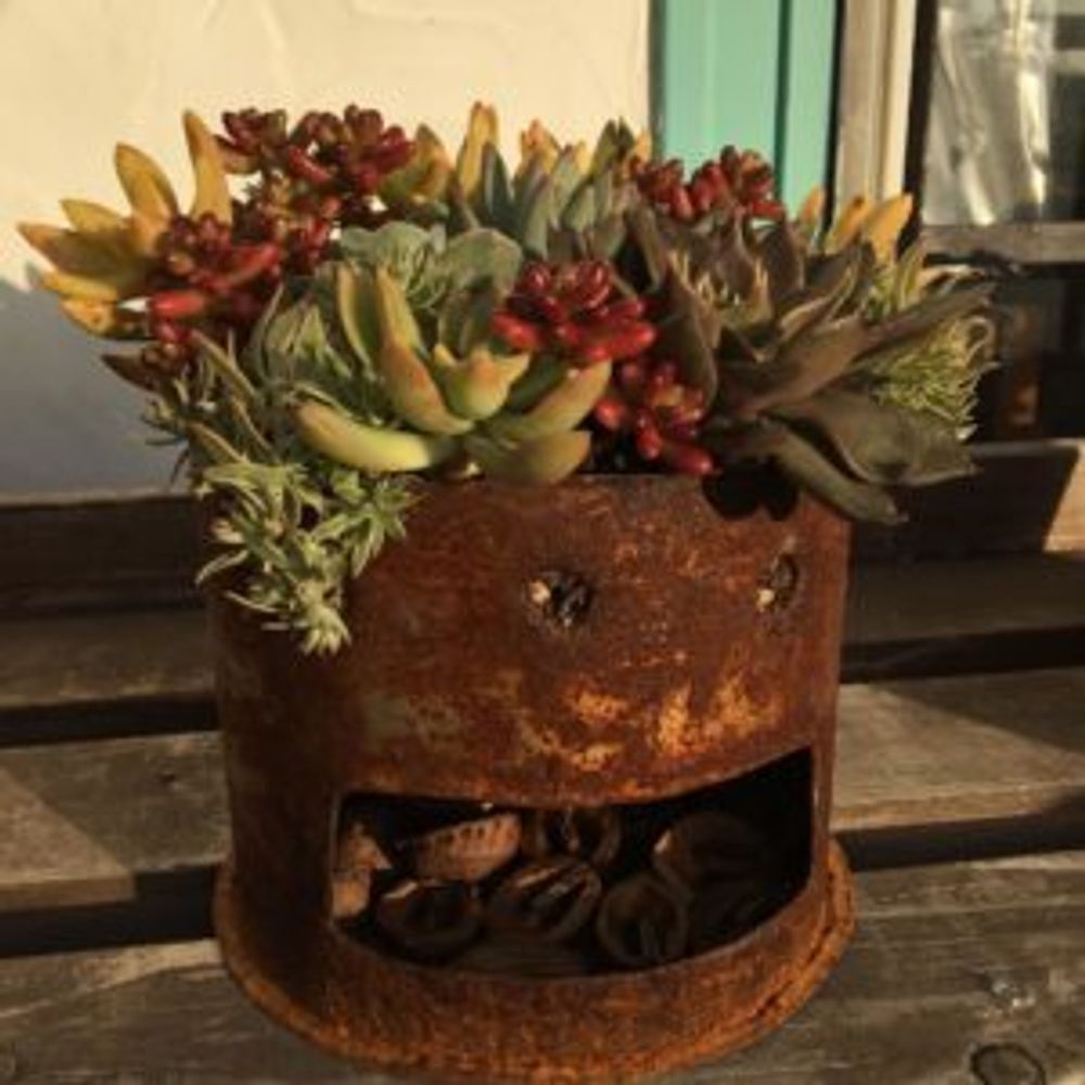 Photo by みにぃぃさん@GreenSnap