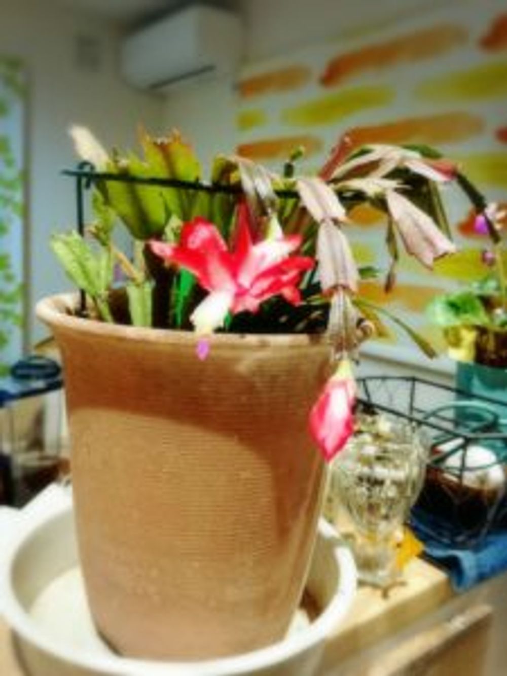 Photo by きーさん