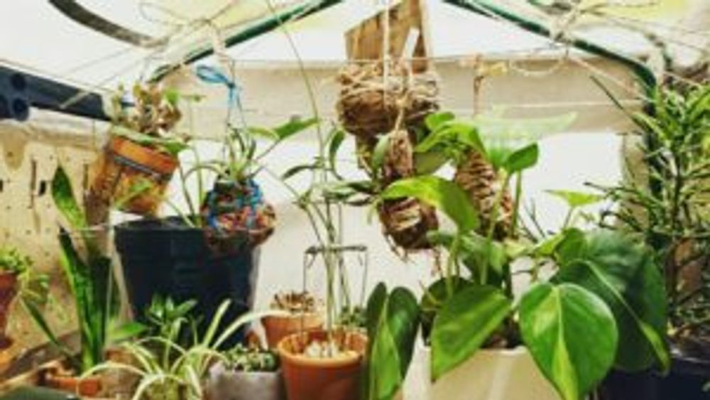 Photo by きーさん