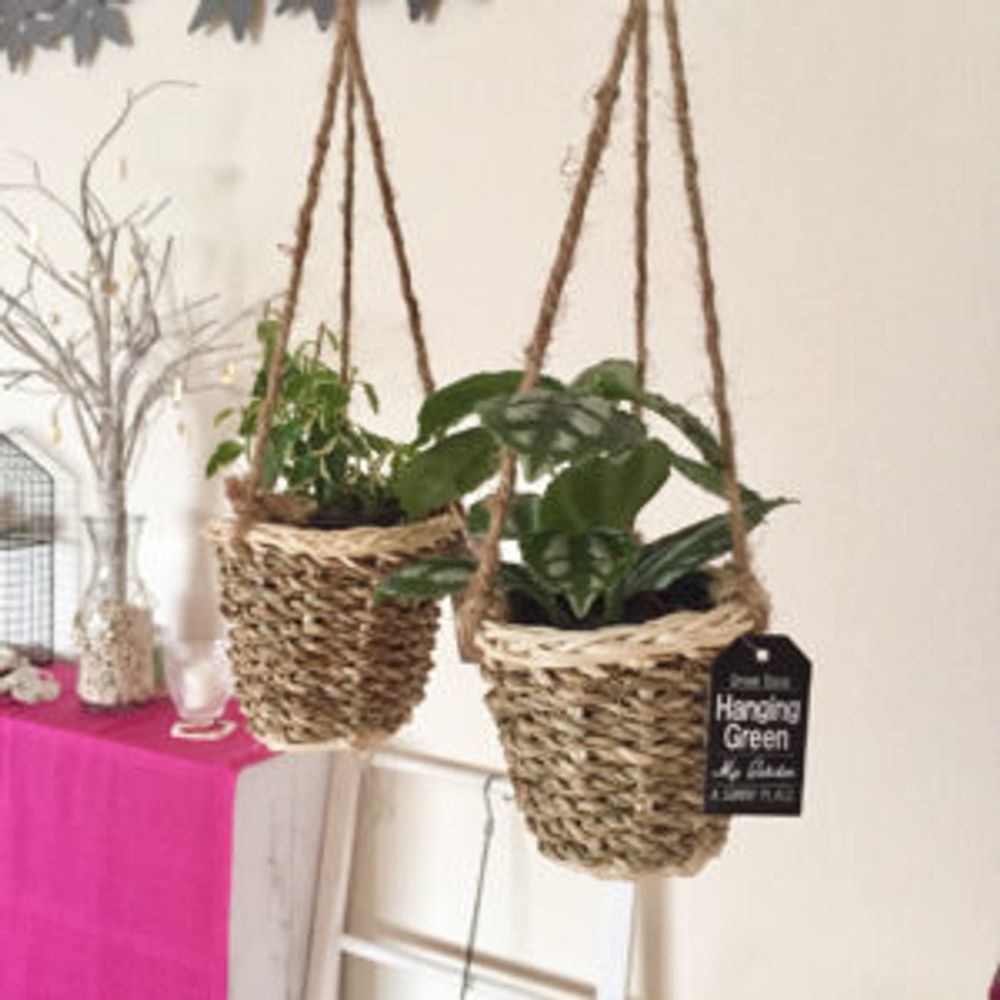 Photo by Kaneyukiさん