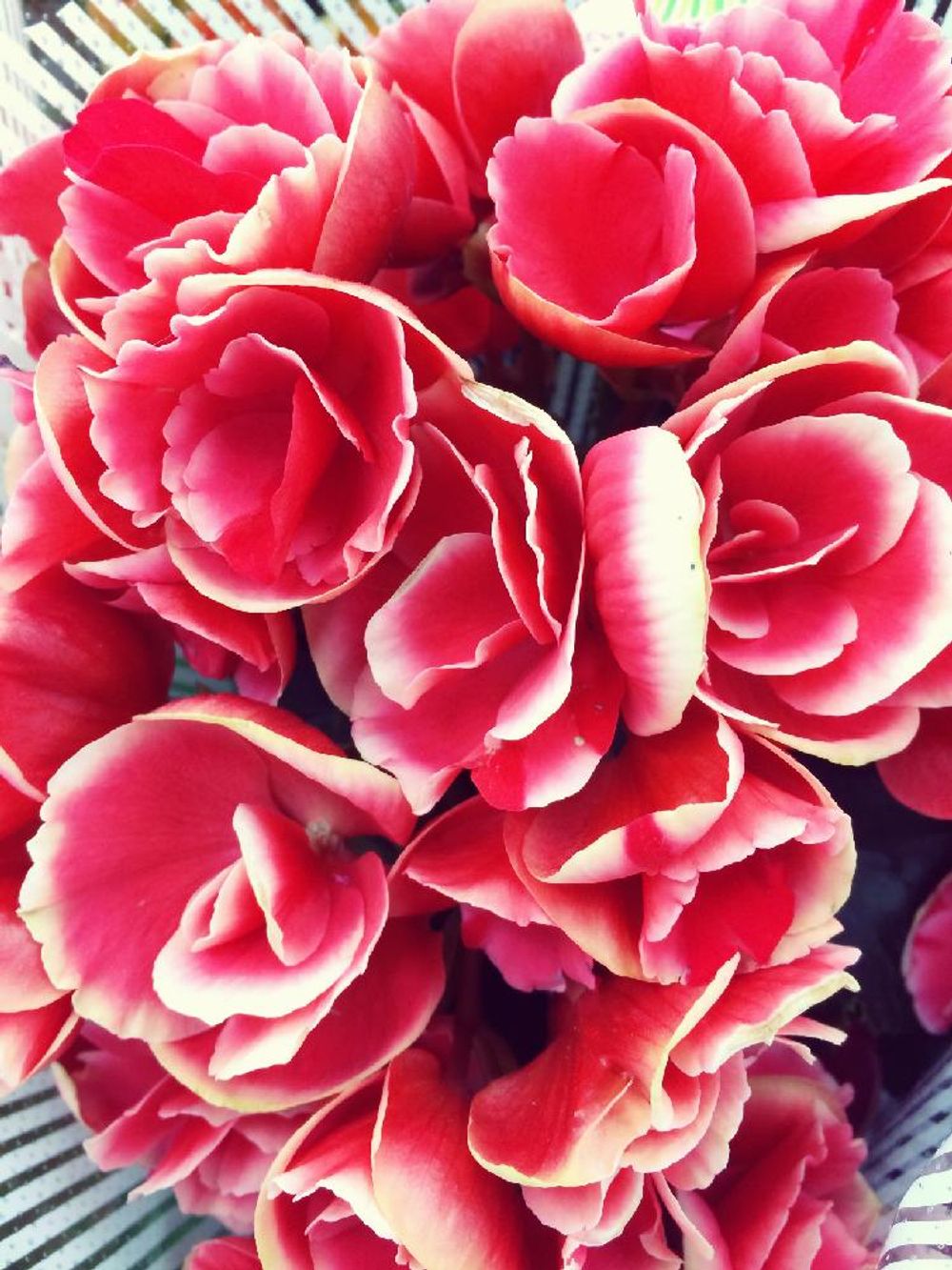 Photo by もしゃさん