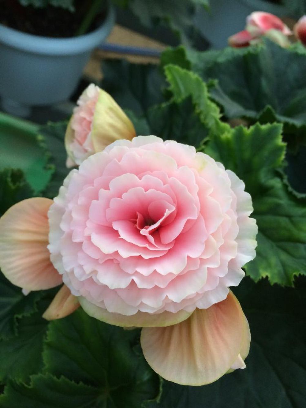 Photo by MORI KAENさん